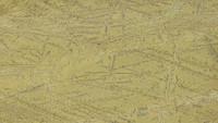 Textura en detalle AMARILLO MACAEL (1)